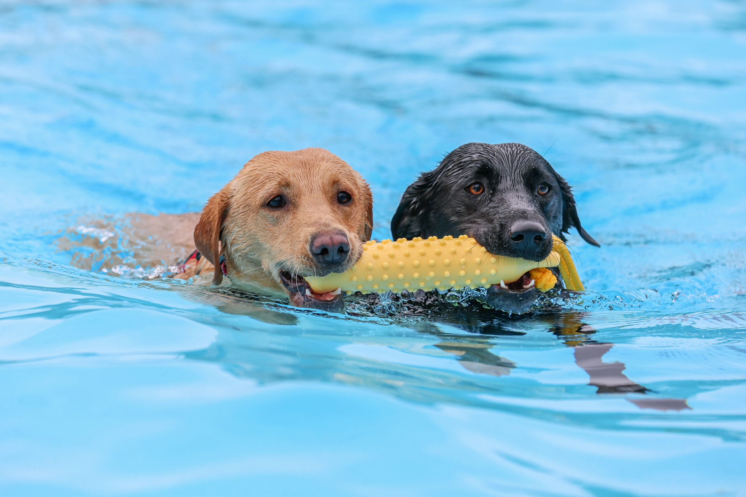 SP3_0028-Edit-scaled